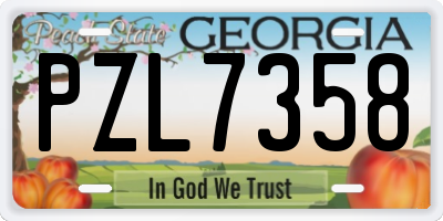 GA license plate PZL7358