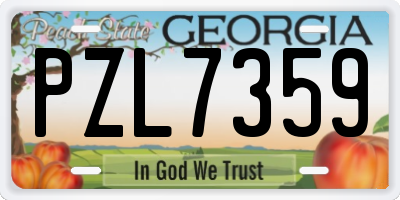 GA license plate PZL7359