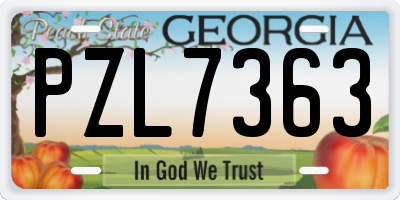GA license plate PZL7363