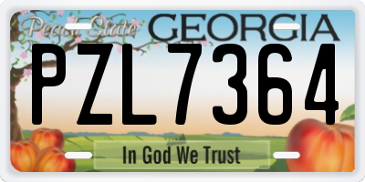 GA license plate PZL7364