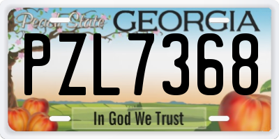 GA license plate PZL7368