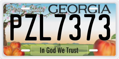GA license plate PZL7373