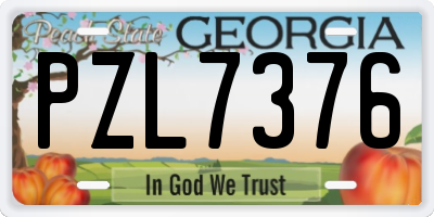 GA license plate PZL7376