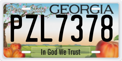 GA license plate PZL7378