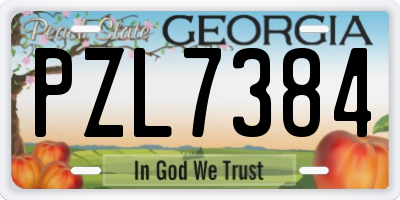 GA license plate PZL7384