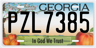 GA license plate PZL7385