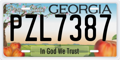 GA license plate PZL7387
