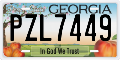 GA license plate PZL7449