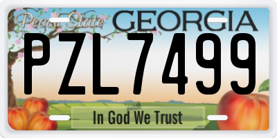 GA license plate PZL7499