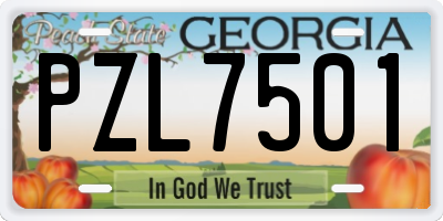 GA license plate PZL7501