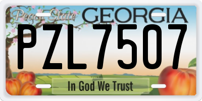 GA license plate PZL7507