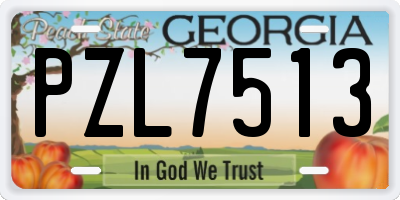 GA license plate PZL7513