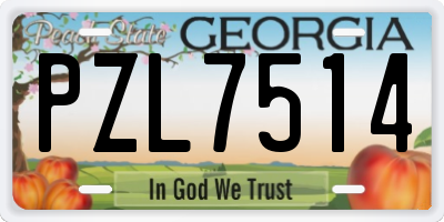 GA license plate PZL7514