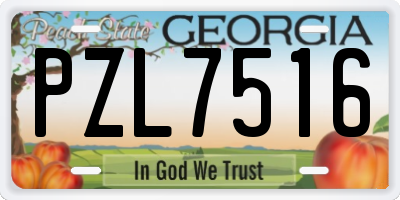 GA license plate PZL7516