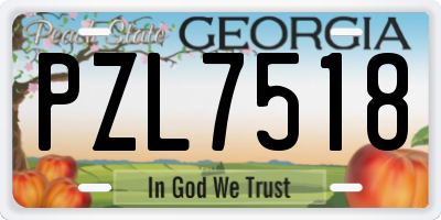 GA license plate PZL7518