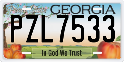 GA license plate PZL7533