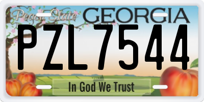 GA license plate PZL7544