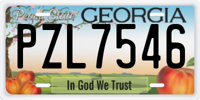 GA license plate PZL7546