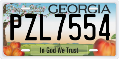 GA license plate PZL7554