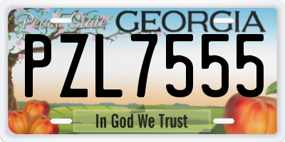 GA license plate PZL7555