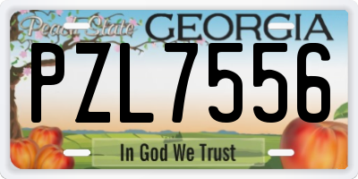 GA license plate PZL7556