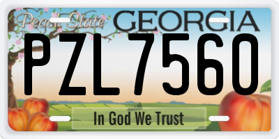 GA license plate PZL7560