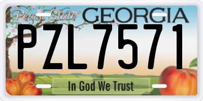 GA license plate PZL7571