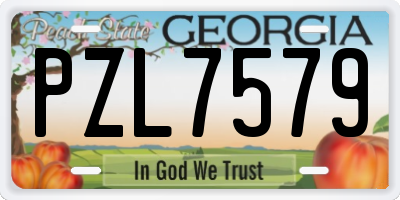 GA license plate PZL7579