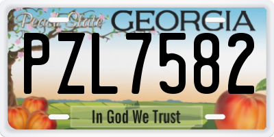 GA license plate PZL7582
