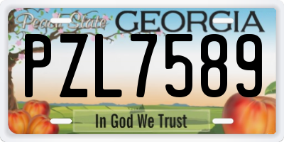GA license plate PZL7589