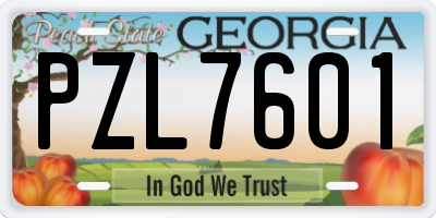 GA license plate PZL7601