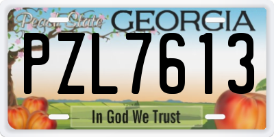 GA license plate PZL7613