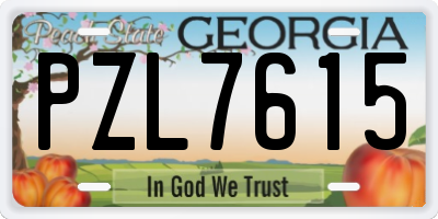 GA license plate PZL7615