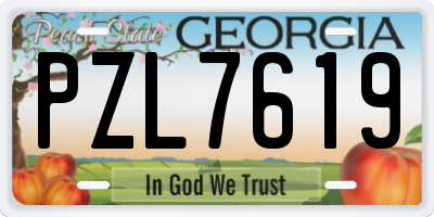 GA license plate PZL7619