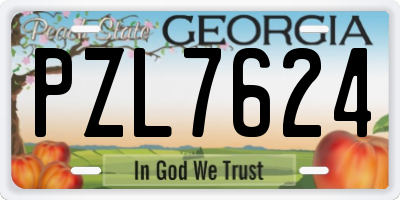 GA license plate PZL7624