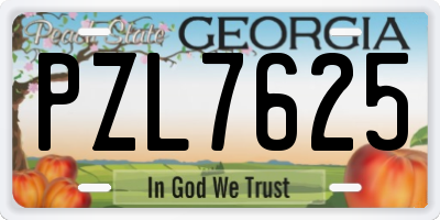 GA license plate PZL7625