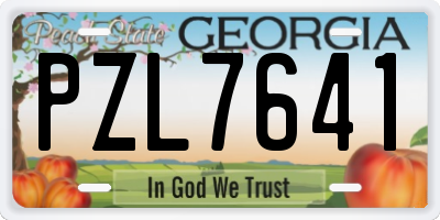 GA license plate PZL7641