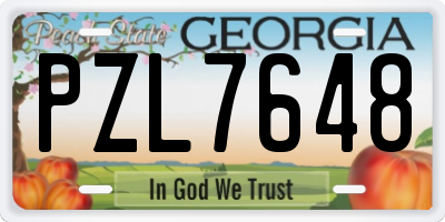 GA license plate PZL7648