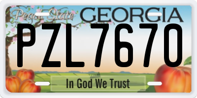 GA license plate PZL7670