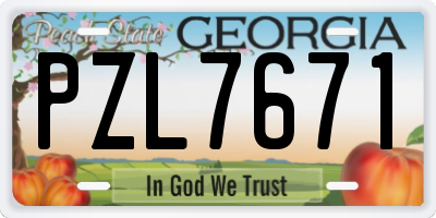 GA license plate PZL7671