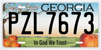 GA license plate PZL7673