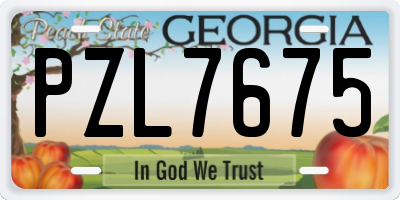 GA license plate PZL7675