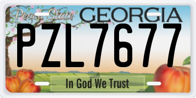 GA license plate PZL7677