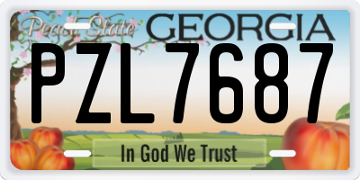GA license plate PZL7687