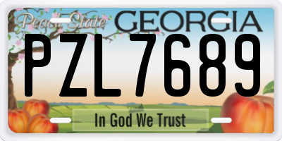 GA license plate PZL7689