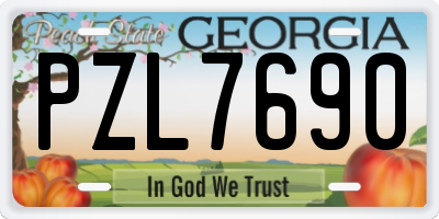 GA license plate PZL7690