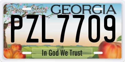 GA license plate PZL7709