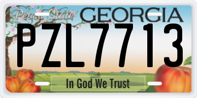 GA license plate PZL7713