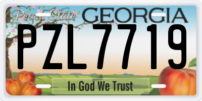 GA license plate PZL7719