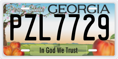 GA license plate PZL7729